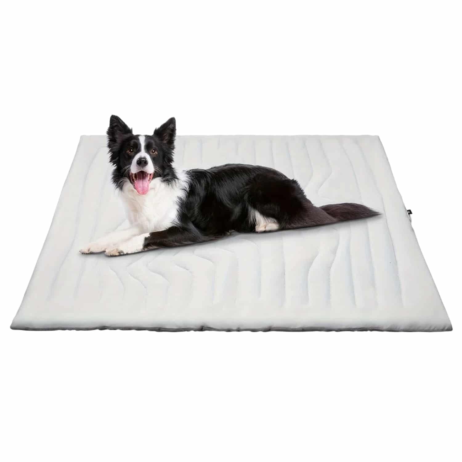cooling-mat-for-dog-img-02.jpg