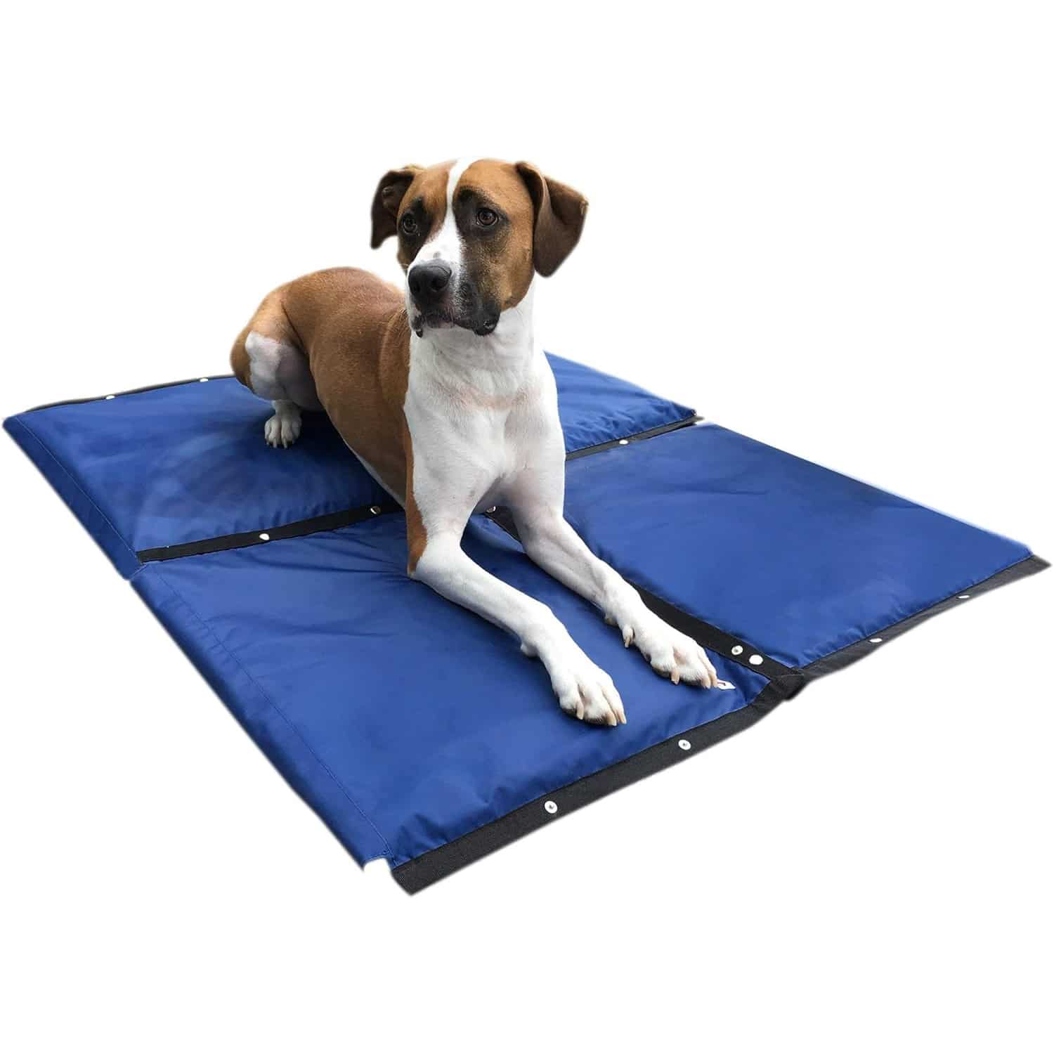 cooling-mat-for-dog-img-04-1.jpg
